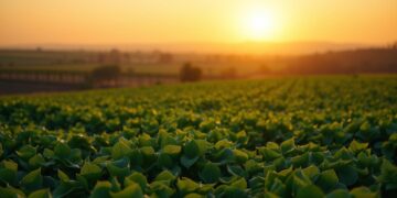 dividenden portfolio